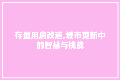 存量用房改造,城市更新中的智慧与挑战