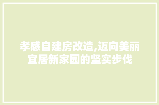 孝感自建房改造,迈向美丽宜居新家园的坚实步伐