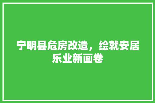 宁明县危房改造，绘就安居乐业新画卷