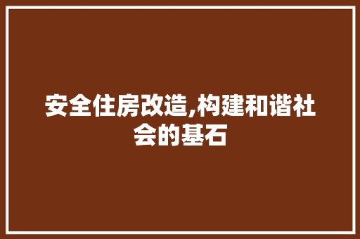 安全住房改造,构建和谐社会的基石