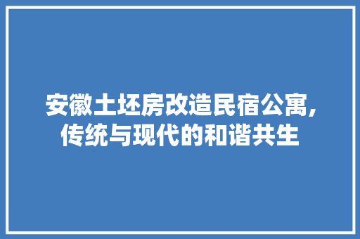 安徽土坯房改造民宿公寓,传统与现代的和谐共生(土坯房改民宿案例)