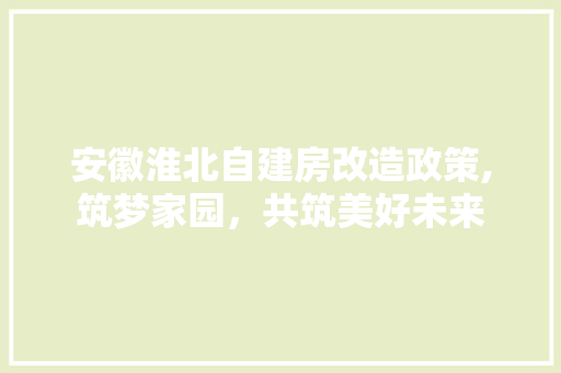 安徽淮北自建房改造政策,筑梦家园，共筑美好未来 MI家公司推荐