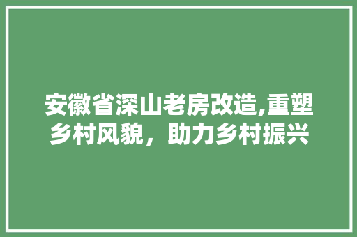安徽省深山老房改造,重塑乡村风貌，助力乡村振兴