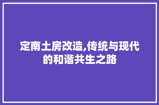 定南土房改造,传统与现代的和谐共生之路