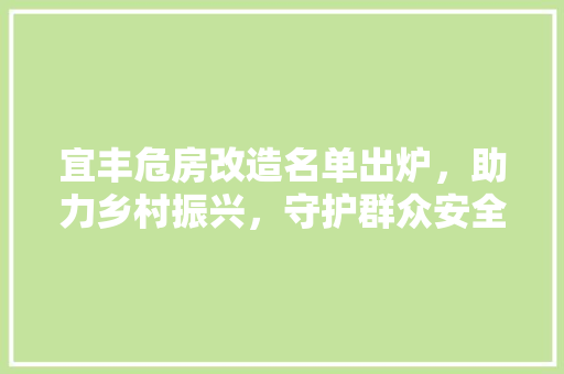 宜丰危房改造名单出炉，助力乡村振兴，守护群众安全
