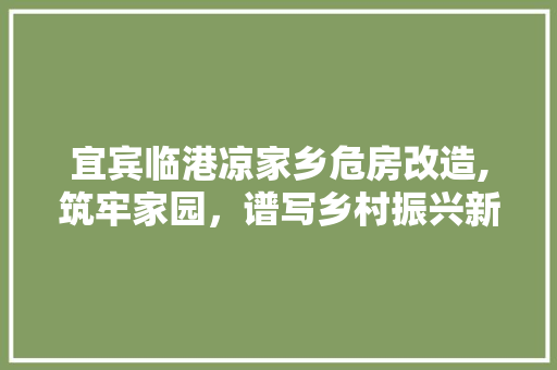 宜宾临港凉家乡危房改造,筑牢家园，谱写乡村振兴新篇章