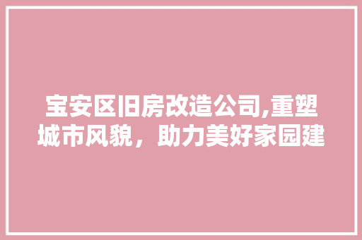 宝安区旧房改造公司,重塑城市风貌，助力美好家园建设
