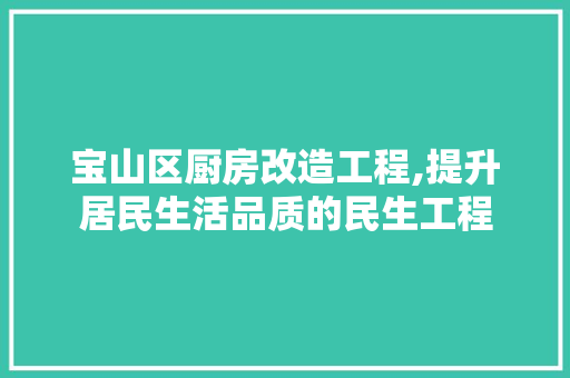宝山区厨房改造工程,提升居民生活品质的民生工程