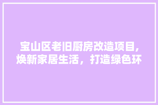 宝山区老旧厨房改造项目,焕新家居生活，打造绿色环保新环境