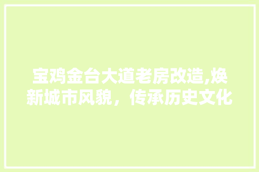 宝鸡金台大道老房改造,焕新城市风貌，传承历史文化
