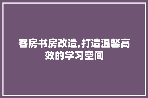 客房书房改造,打造温馨高效的学习空间(客房改成书房)