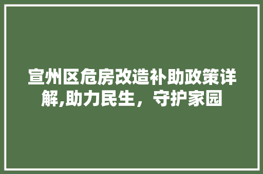 宣州区危房改造补助政策详解,助力民生，守护家园(宣城危房改造政策)