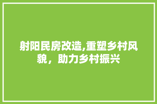 射阳民房改造,重塑乡村风貌，助力乡村振兴 MI家公司推荐
