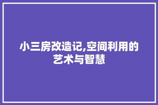 小三房改造记,空间利用的艺术与智慧 MI家设计指南