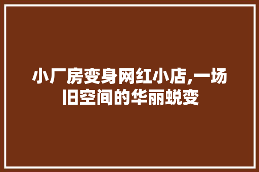 小厂房变身网红小店,一场旧空间的华丽蜕变 MI家装修攻略