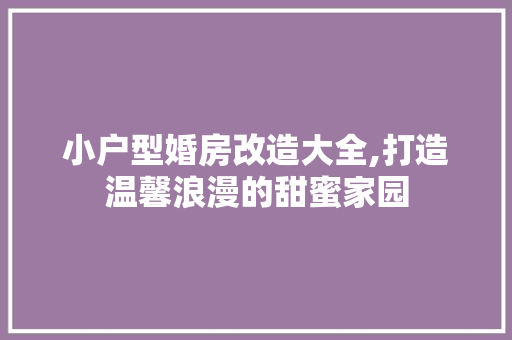小户型婚房改造大全,打造温馨浪漫的甜蜜家园 MI家装修攻略