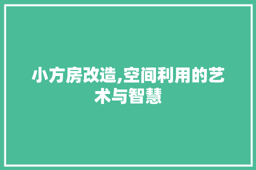 小方房改造,空间利用的艺术与智慧 MI家公司推荐