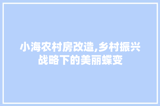 小海农村房改造,乡村振兴战略下的美丽蝶变 MI家装修经验