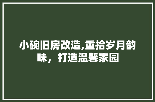 小碗旧房改造,重拾岁月韵味，打造温馨家园 MI家装修攻略