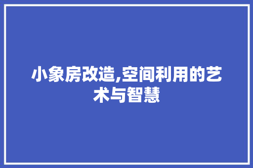 小象房改造,空间利用的艺术与智慧 MI家装修经验