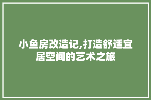 小鱼房改造记,打造舒适宜居空间的艺术之旅 MI家公司推荐