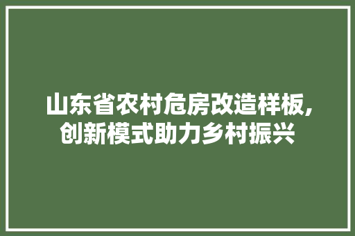 山东省农村危房改造样板,创新模式助力乡村振兴