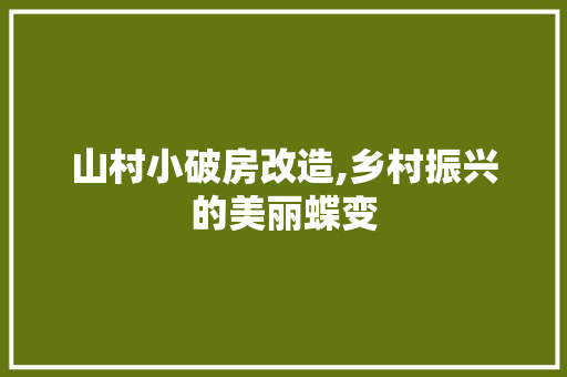 山村小破房改造,乡村振兴的美丽蝶变
