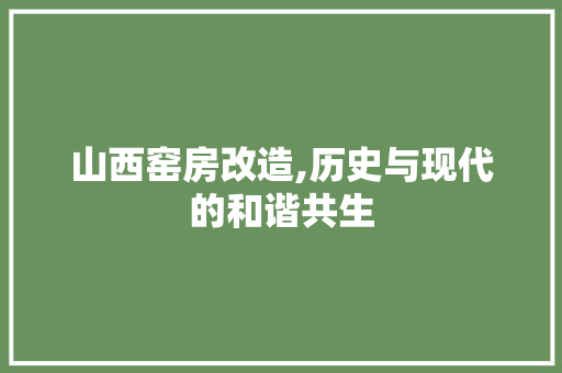 山西窑房改造,历史与现代的和谐共生 MI家设计指南