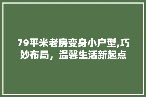 79平米老房变身小户型,巧妙布局，温馨生活新起点 MI家装修攻略