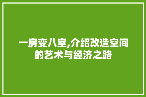 一房变八室,介绍改造空间的艺术与经济之路