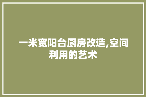 一米宽阳台厨房改造,空间利用的艺术 MI家装修攻略