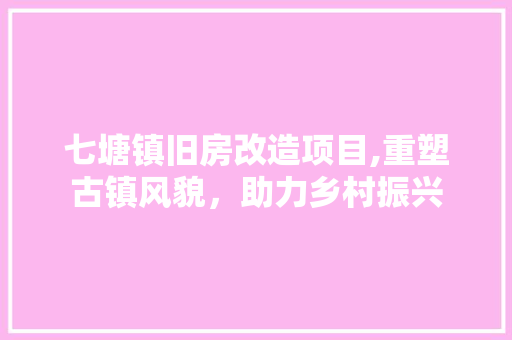 七塘镇旧房改造项目,重塑古镇风貌，助力乡村振兴