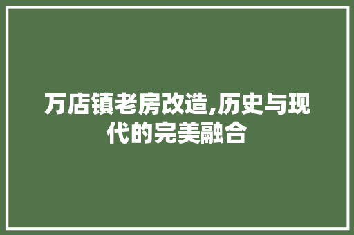 万店镇老房改造,历史与现代的完美融合
