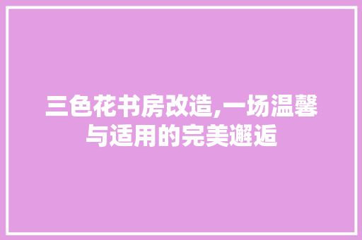 三色花书房改造,一场温馨与适用的完美邂逅