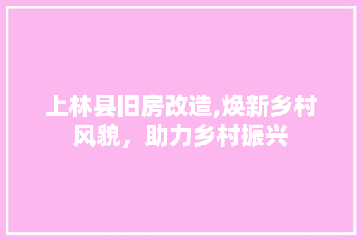 上林县旧房改造,焕新乡村风貌，助力乡村振兴 MI家设计指南