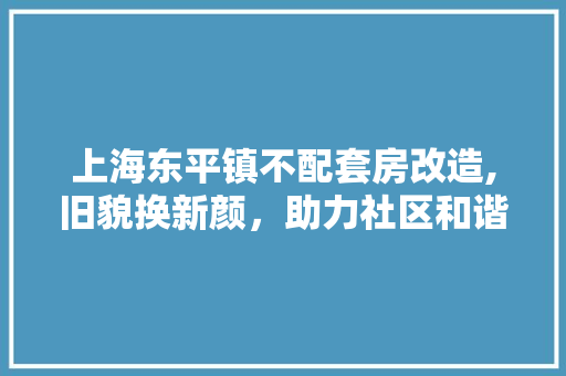 上海东平镇不配套房改造,旧貌换新颜，助力社区和谐发展 MI家设计指南