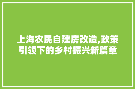 上海农民自建房改造,政策引领下的乡村振兴新篇章