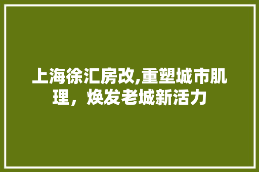 上海徐汇房改,重塑城市肌理，焕发老城新活力