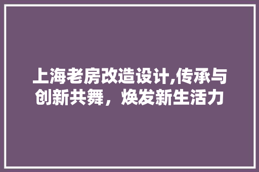 上海老房改造设计,传承与创新共舞，焕发新生活力