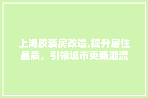 上海胶囊房改造,提升居住品质，引领城市更新潮流
