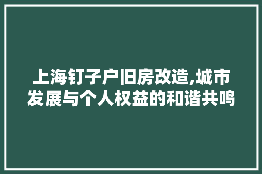上海钉子户旧房改造,城市发展与个人权益的和谐共鸣