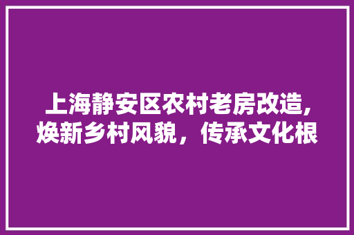 上海静安区农村老房改造,焕新乡村风貌，传承文化根脉 MI家设计百科
