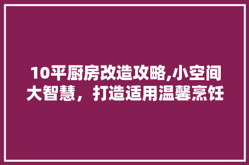 10平厨房改造攻略,小空间大智慧，打造适用温馨烹饪天地 MI家设计百科