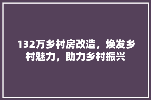 132万乡村房改造，焕发乡村魅力，助力乡村振兴