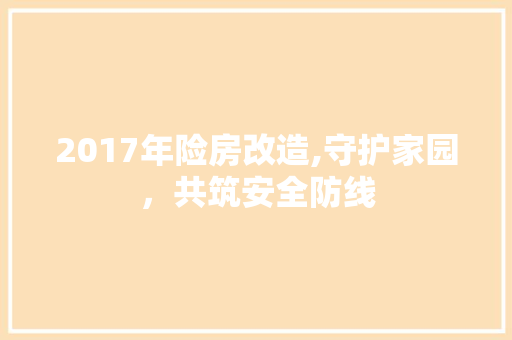 2017年险房改造,守护家园，共筑安全防线