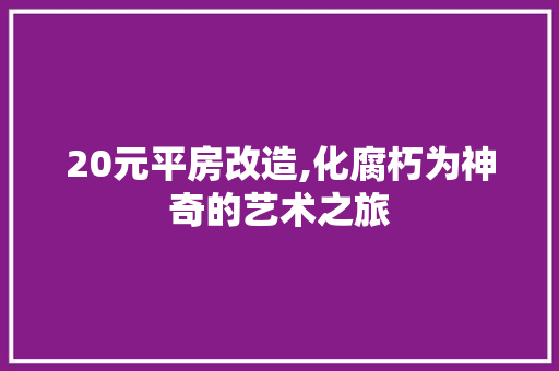 20元平房改造,化腐朽为神奇的艺术之旅 MI家公司推荐