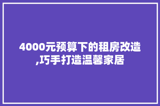 4000元预算下的租房改造,巧手打造温馨家居 MI家设计指南