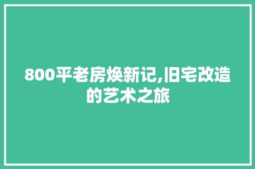 800平老房焕新记,旧宅改造的艺术之旅 MI家公司推荐