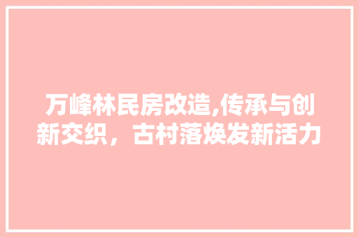 万峰林民房改造,传承与创新交织，古村落焕发新活力