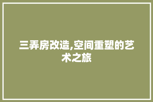 三弄房改造,空间重塑的艺术之旅 MI家设计指南